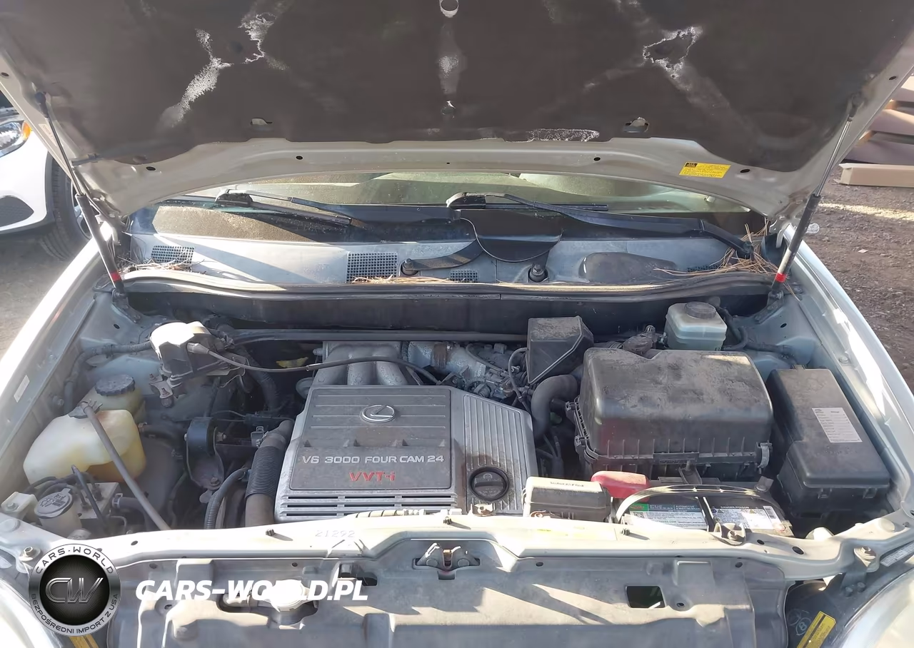 2001 Lexus Rx 300 VIN:JTJHF10U310233315 - 10