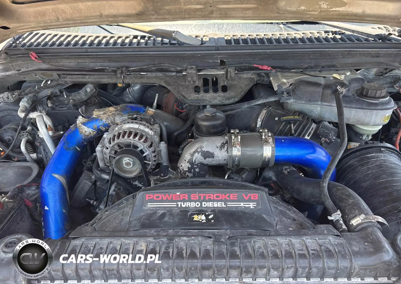 2005 Ford F350 Srw Super Duty VIN:1FTWW31P65EA12539 - 9