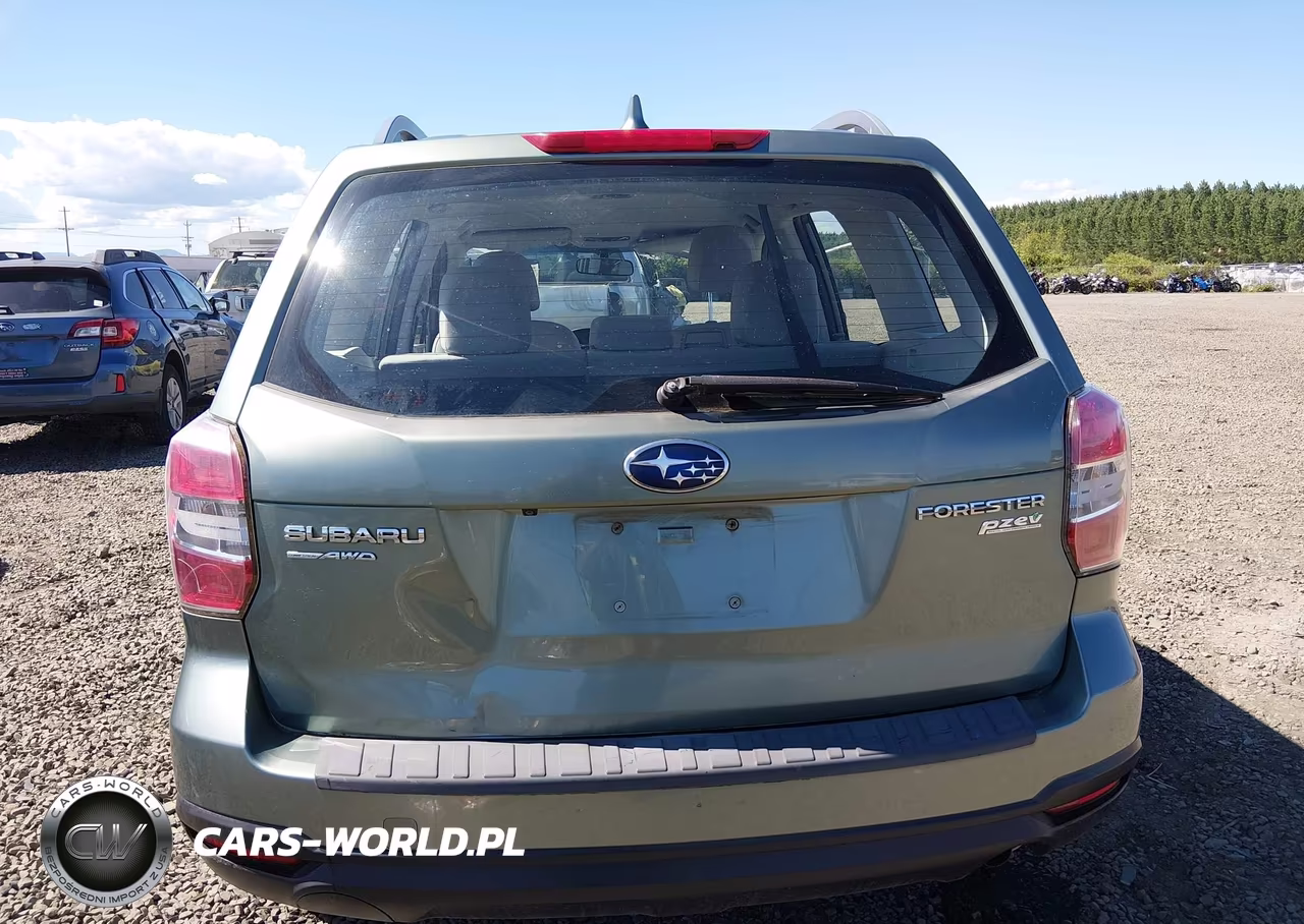 2016 Subaru Forester 2.5I VIN:JF2SJABCXGH539032 - 17