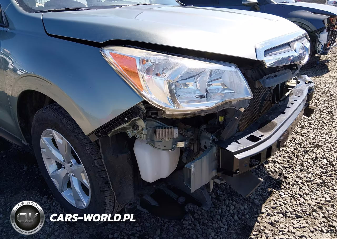 2016 Subaru Forester 2.5I VIN:JF2SJABCXGH539032 - 18
