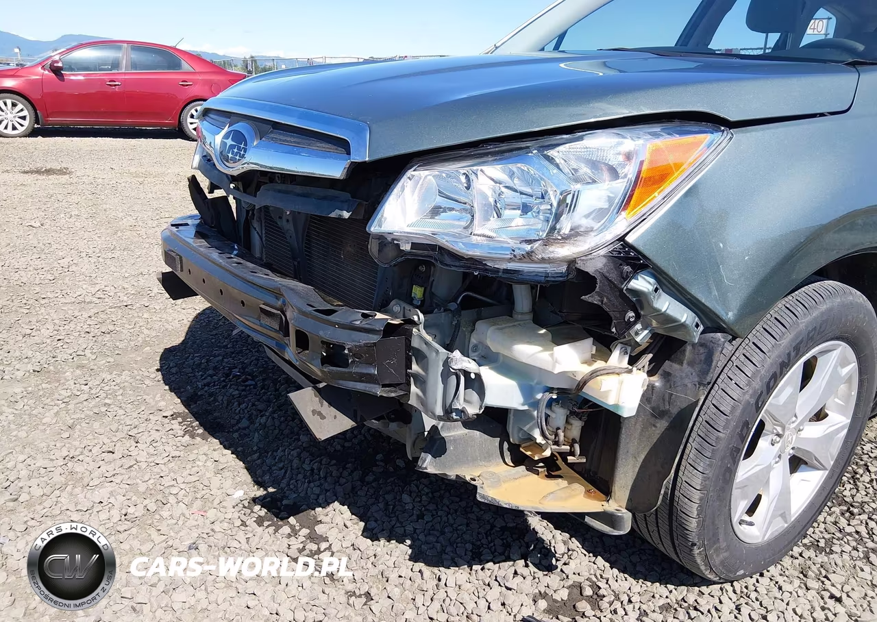 2016 Subaru Forester 2.5I VIN:JF2SJABCXGH539032 - 19