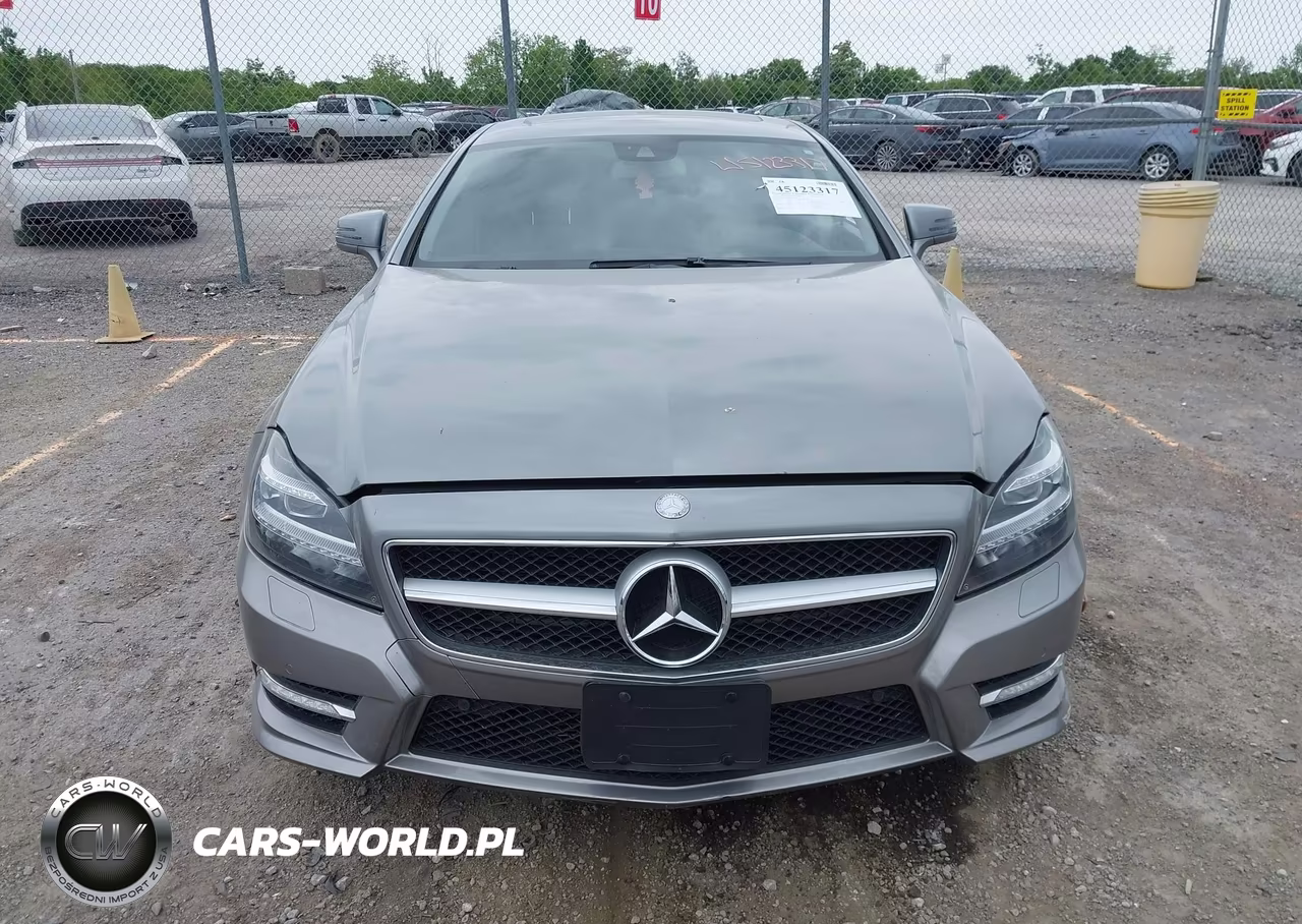 2014 Mercedes-Benz Cls 550 VIN:WDDLJ7DB3EA100101 - 12