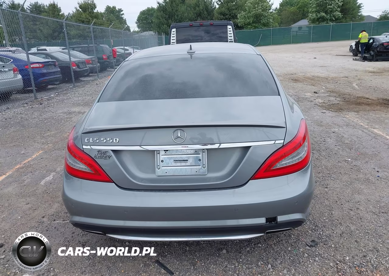 2014 Mercedes-Benz Cls 550 VIN:WDDLJ7DB3EA100101 - 16
