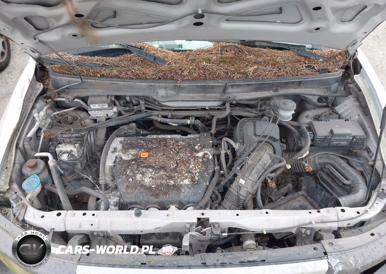 2003 Honda Element Ex VIN:5J6YH28533L051562 - 10