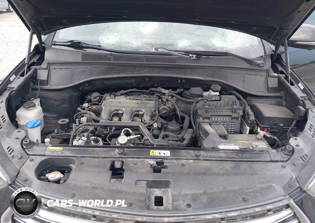 2017 Hyundai Santa Fe Se Ultimate VIN:KM8SRDHF5HU213167 - 10