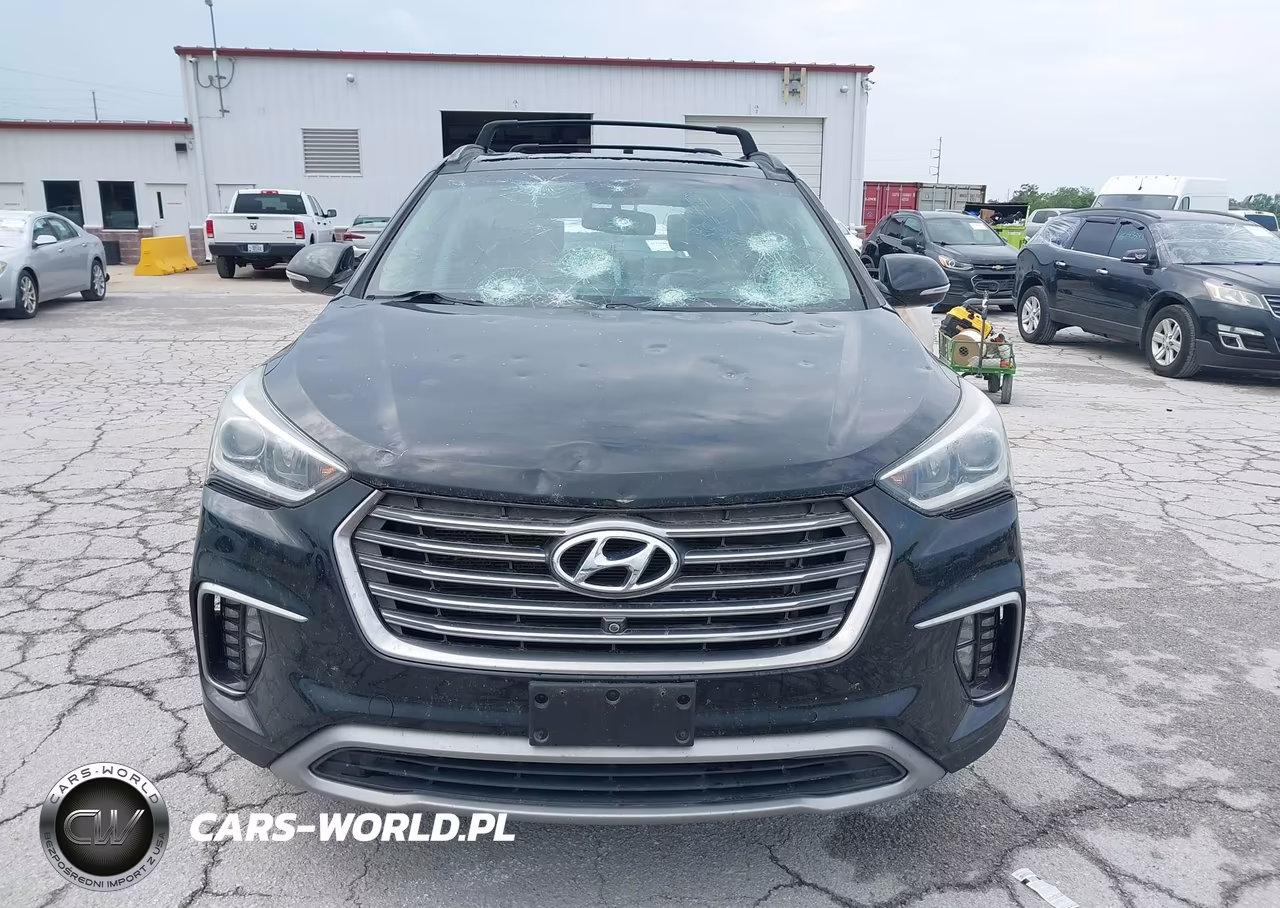 2017 Hyundai Santa Fe Se Ultimate VIN:KM8SRDHF5HU213167 - 12