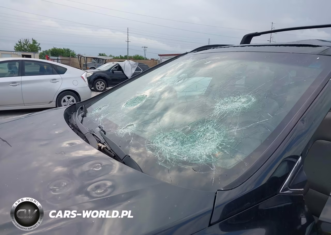 2017 Hyundai Santa Fe Se Ultimate VIN:KM8SRDHF5HU213167 - 6
