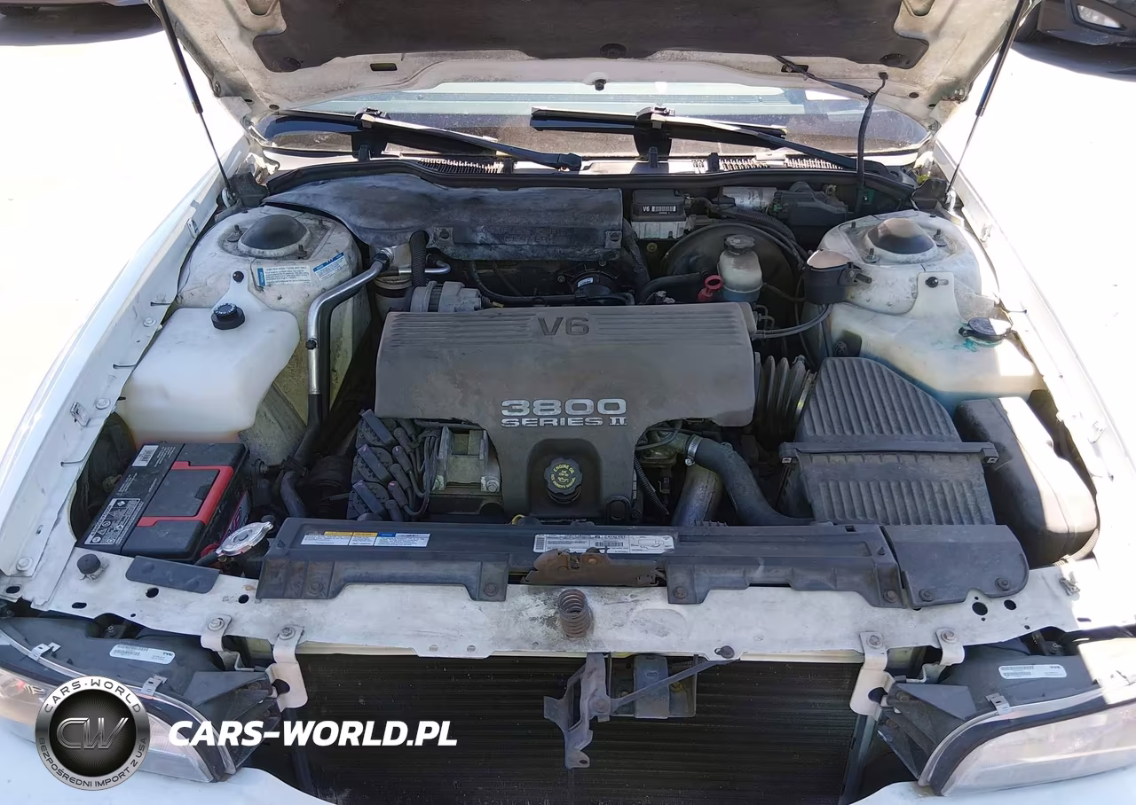 1999 Buick Lesabre Custom VIN:1G4HP52K8XH423202 - 10