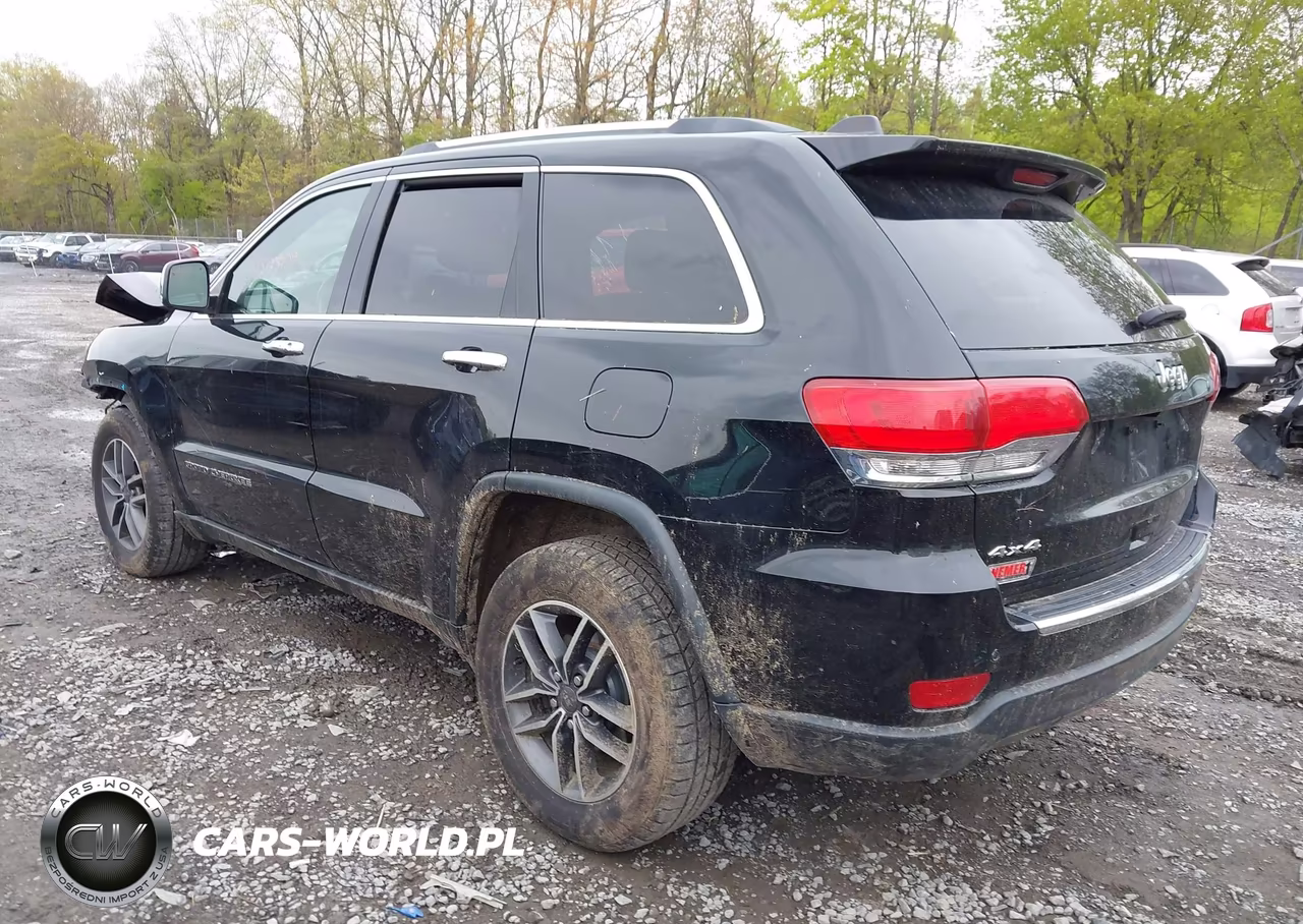 2019 Jeep Grand Cherokee Limited 4X4 VIN:1C4RJFBG2KC719513 - 3