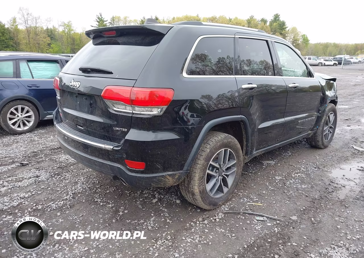 2019 Jeep Grand Cherokee Limited 4X4 VIN:1C4RJFBG2KC719513 - 4