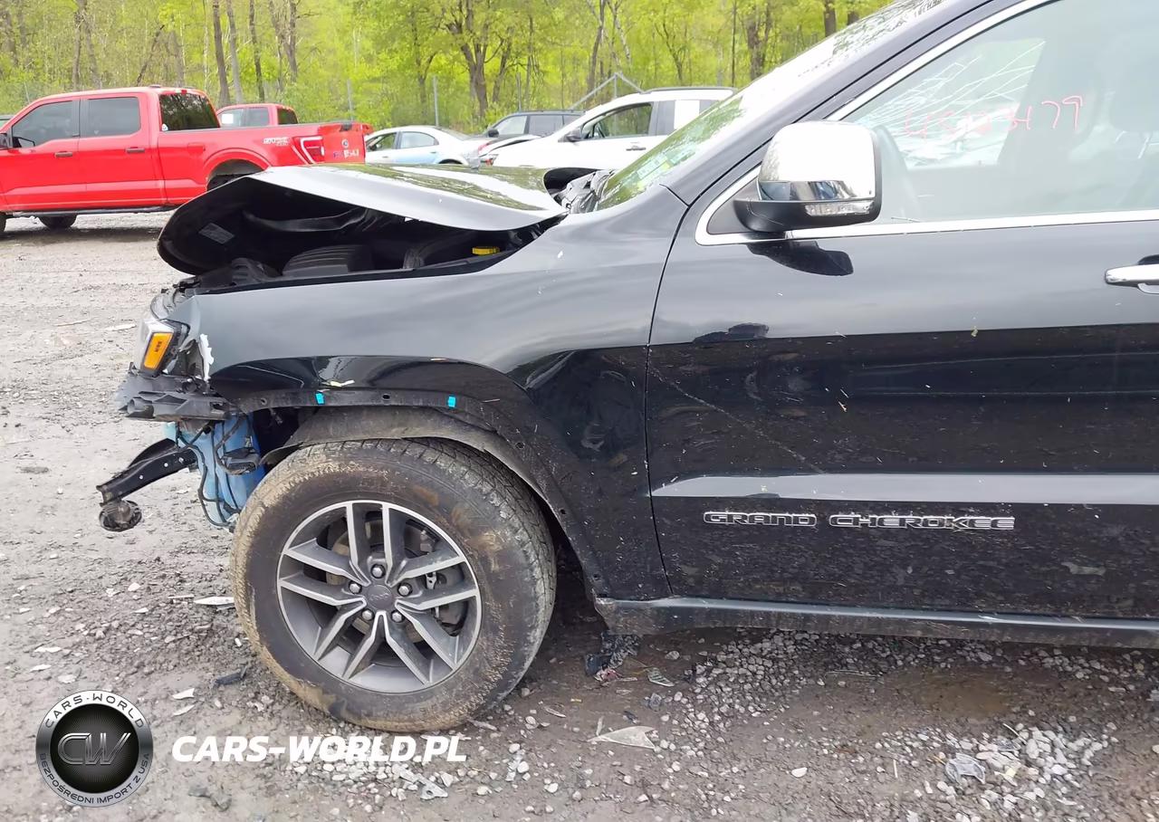 2019 Jeep Grand Cherokee Limited 4X4 VIN:1C4RJFBG2KC719513 - 6