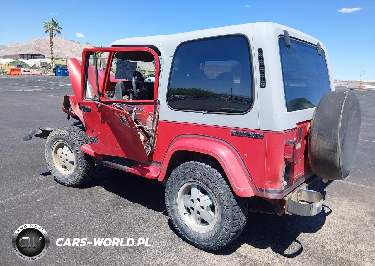 1989 Jeep Wrangler - Yj Laredo VIN:2J4FY59T0KJ169465 - 3