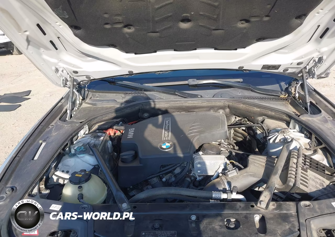 2013 BMW 528I VIN:WBAXG5C55DDY35263 - 10