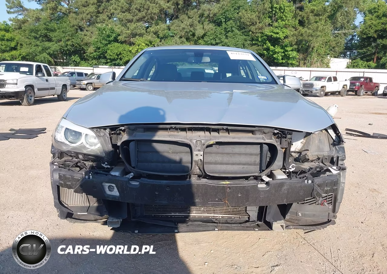 2013 BMW 528I VIN:WBAXG5C55DDY35263 - 13
