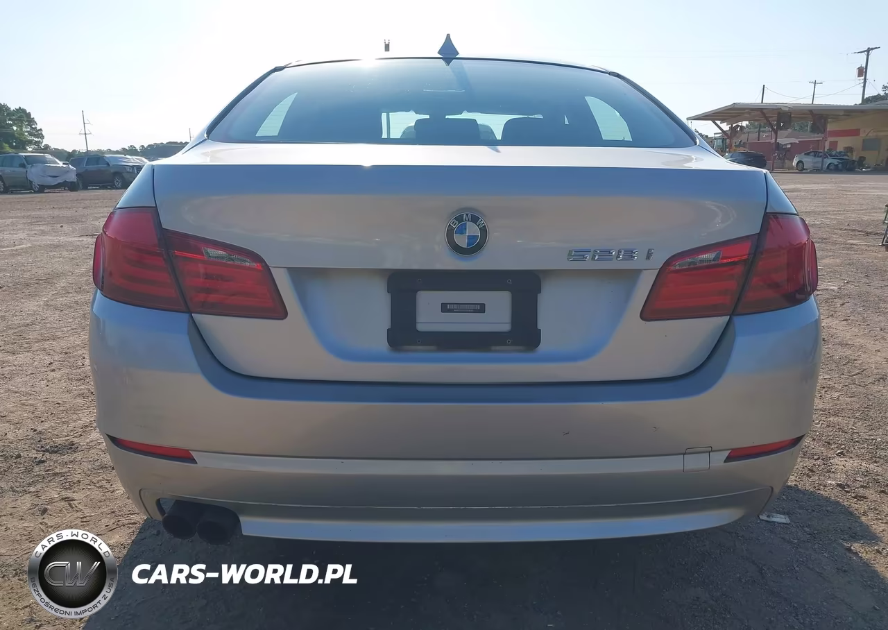 2013 BMW 528I VIN:WBAXG5C55DDY35263 - 17