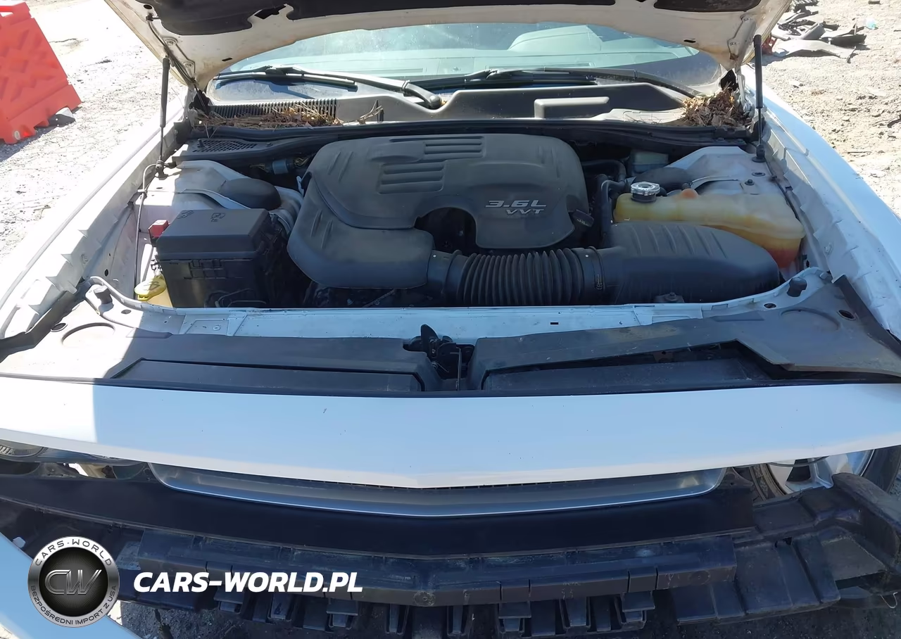 2014 Dodge Challenger Sxt VIN:2C3CDYAG4EH136635 - 10
