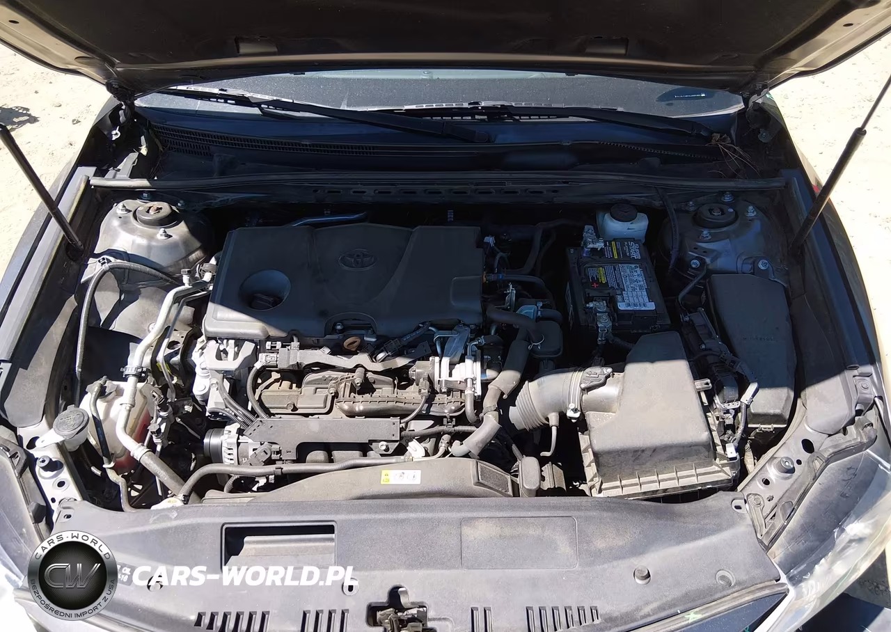2020 Toyota Camry Le VIN:4T1C11AK4LU884985 - 10
