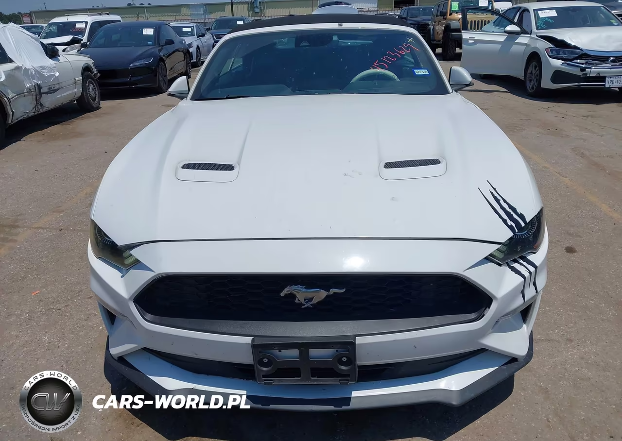 2021 Ford Mustang Ecoboost Premium VIN:1FATP8UH4M5124312 - 12