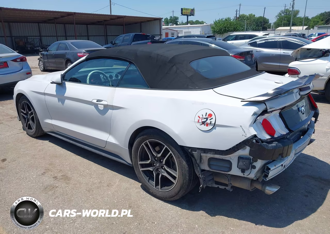 2021 Ford Mustang Ecoboost Premium VIN:1FATP8UH4M5124312 - 3