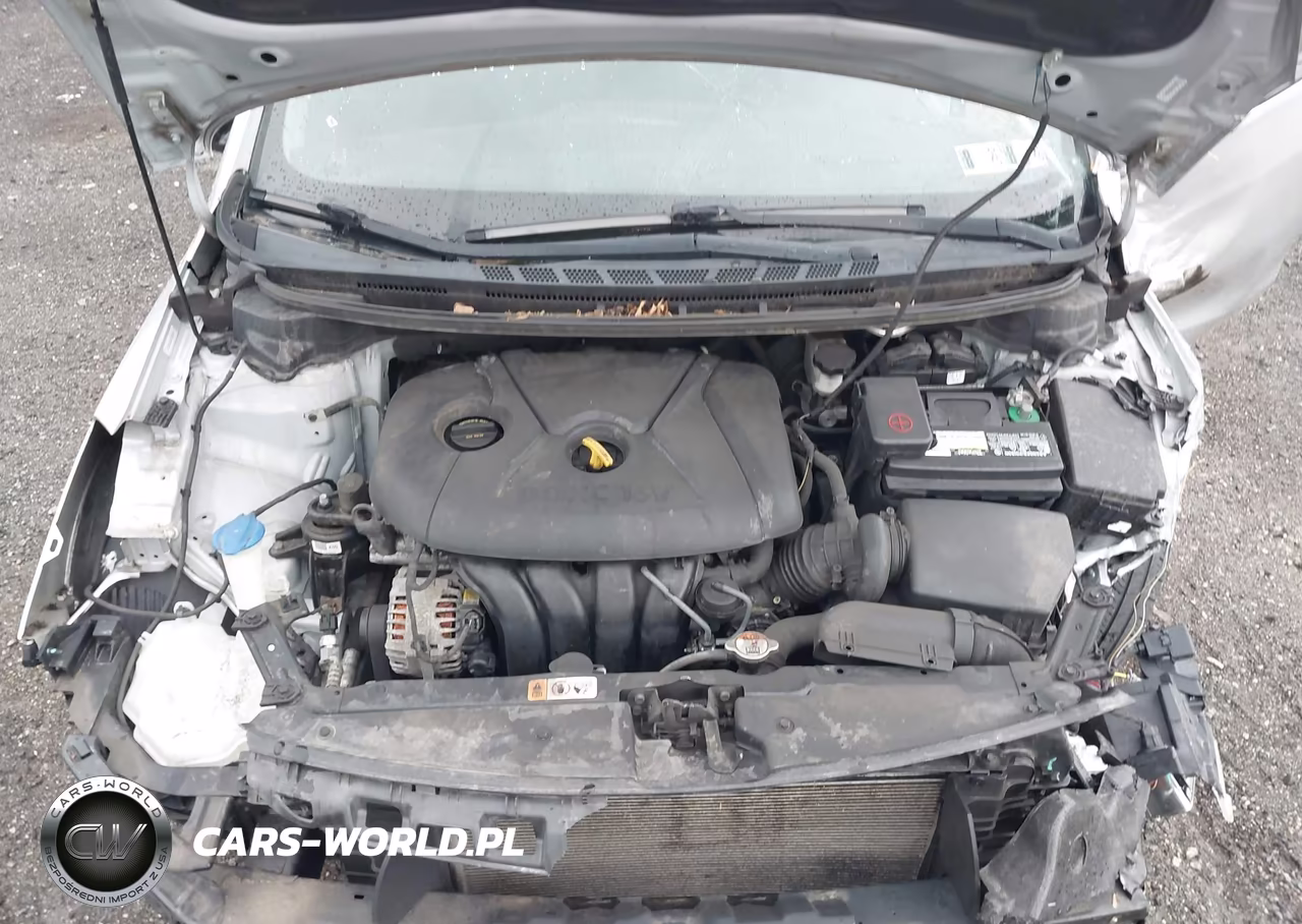 2014 Kia Forte Lx VIN:KNAFK4A69E5192623 - 10