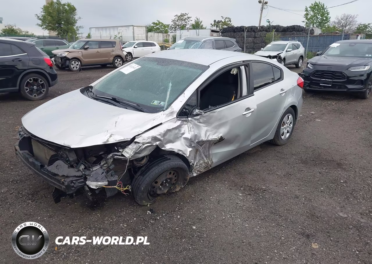 2014 Kia Forte Lx VIN:KNAFK4A69E5192623 - 2