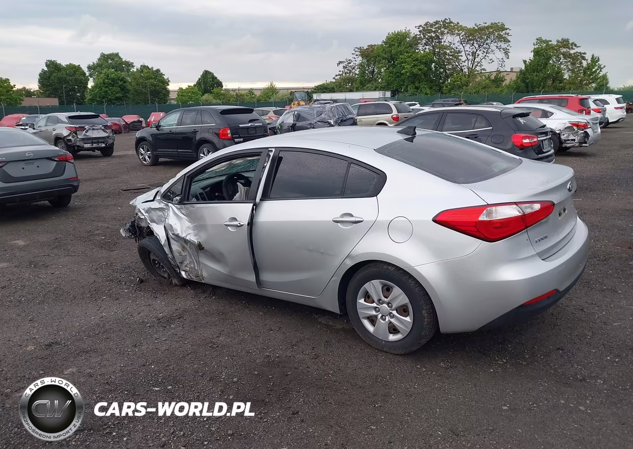 2014 Kia Forte Lx VIN:KNAFK4A69E5192623 - 3