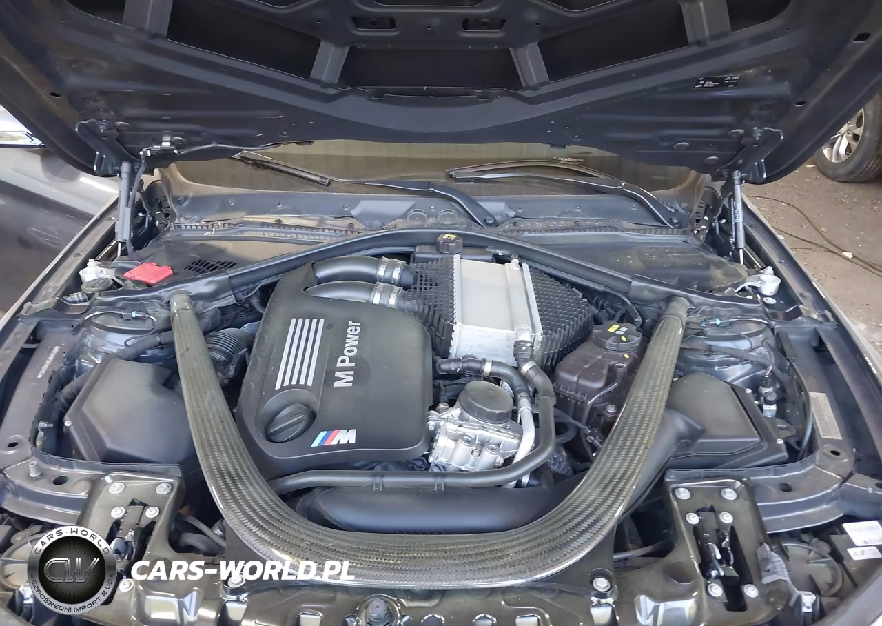 2015 BMW M4 VIN:WBS3U9C58FP967963 - 10