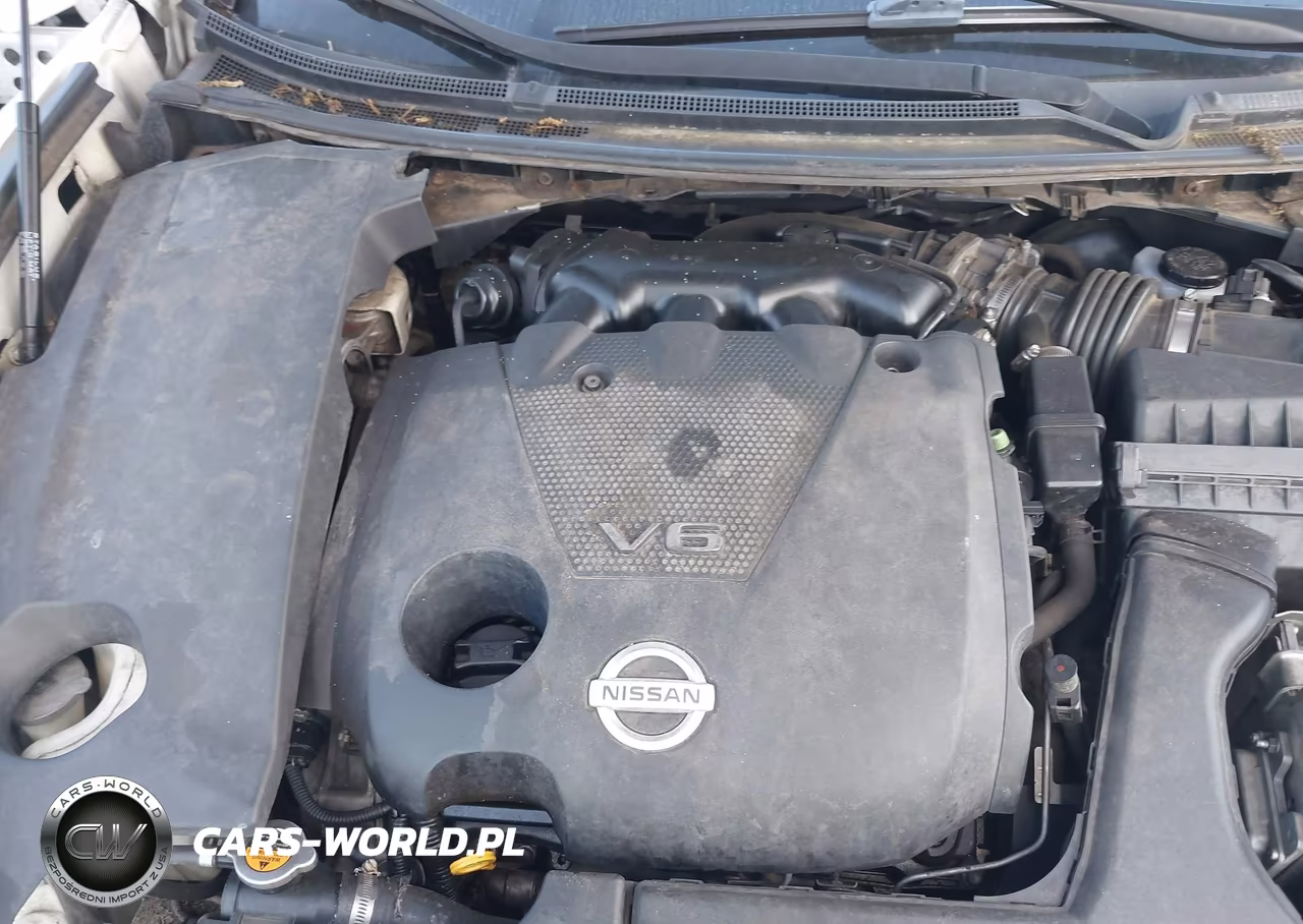 2009 Nissan Maxima 3.5 Sv VIN:1N4AA51E49C817725 - 10