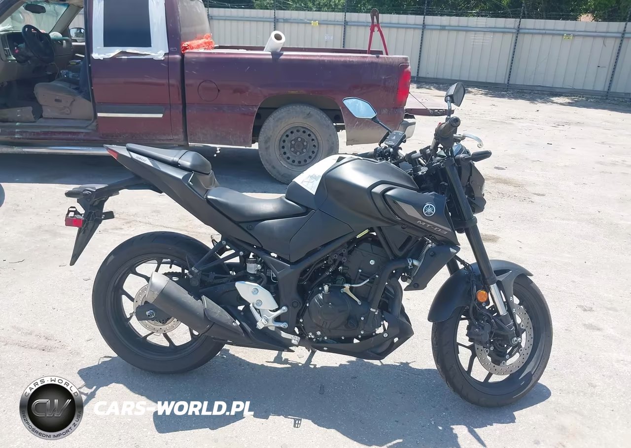 2024 Yamaha Mt-03 VIN:MH3RH20Y3RK013703 - 12
