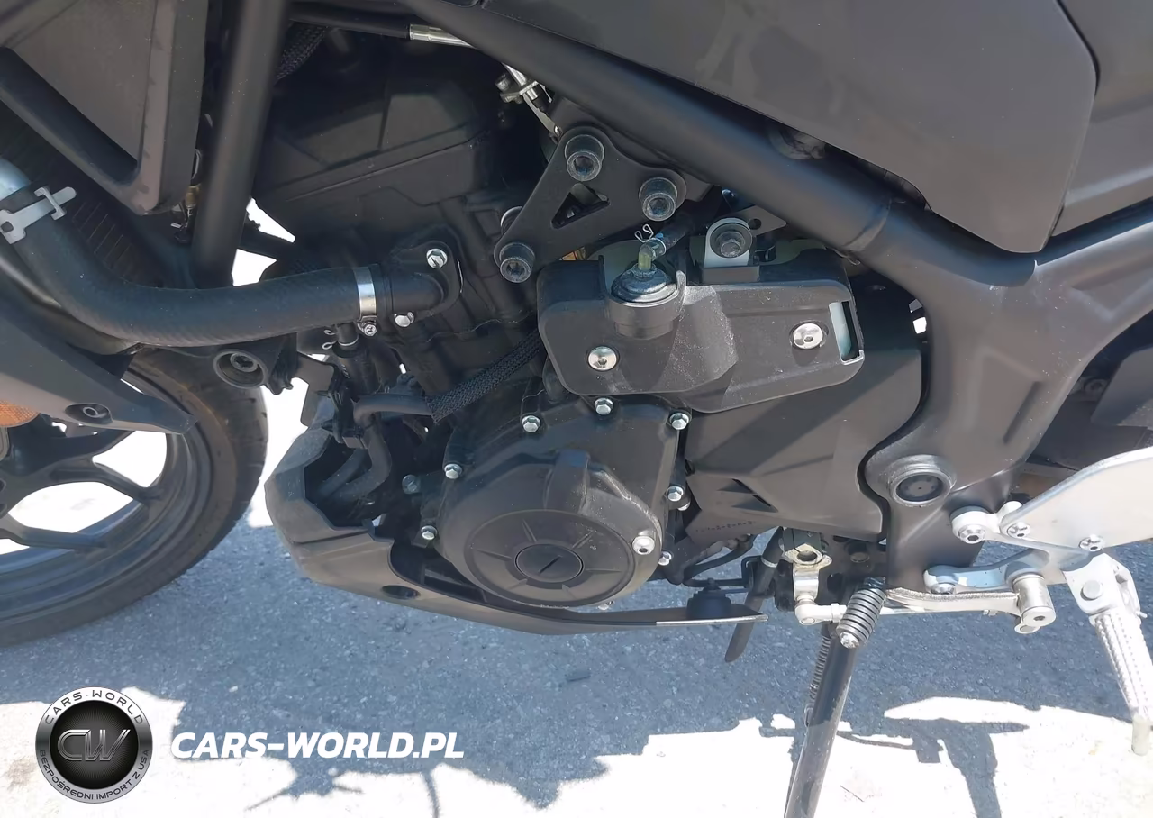 2024 Yamaha Mt-03 VIN:MH3RH20Y3RK013703 - 9