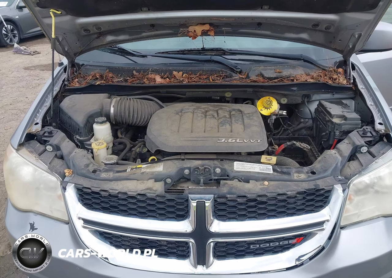 2014 Dodge Grand Caravan Sxt VIN:2C4RDGCG1ER264161 - 10