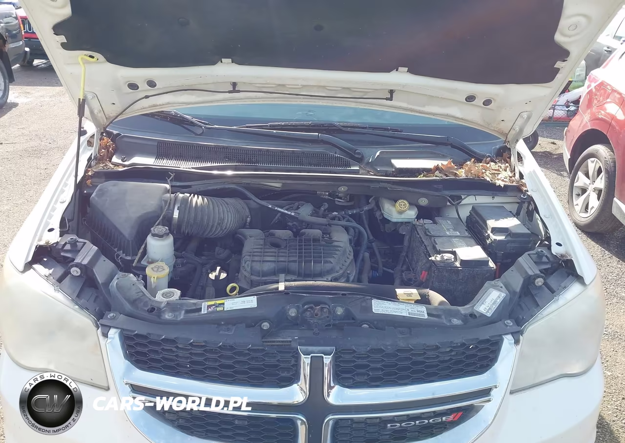2013 Dodge Grand Caravan Sxt VIN:2C4RDGCG0DR751026 - 10