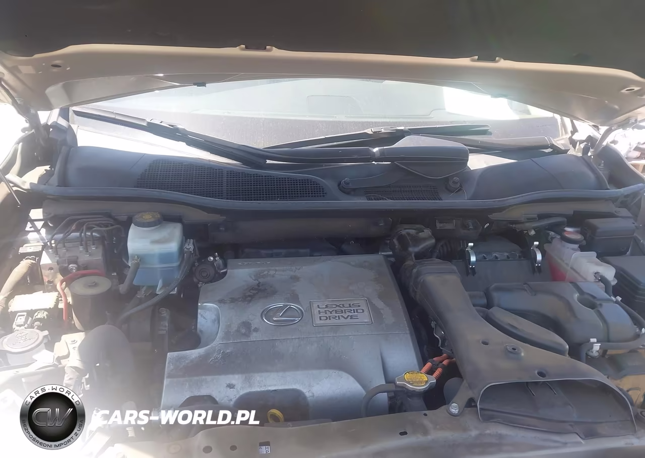 2015 Lexus Rx 450H VIN:2T2ZB1BAXFC002572 - 10