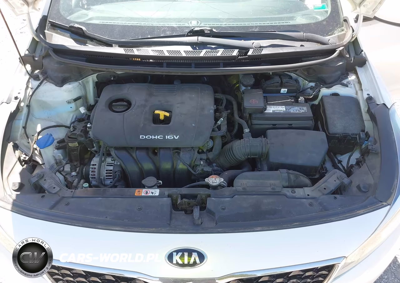 2017 Kia Forte Lx VIN:3KPFL4A73HE114761 - 10