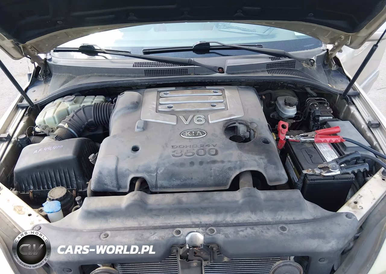 2006 Kia Sorento Ex-Lx VIN:KNDJC733365569916 - 10