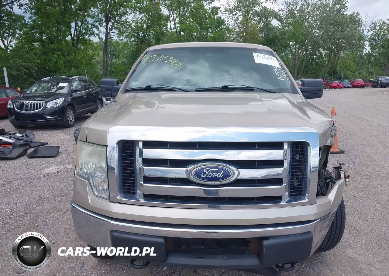 2010 Ford F-150 Xlt VIN:1FTEW1E81AKB59981 - 12