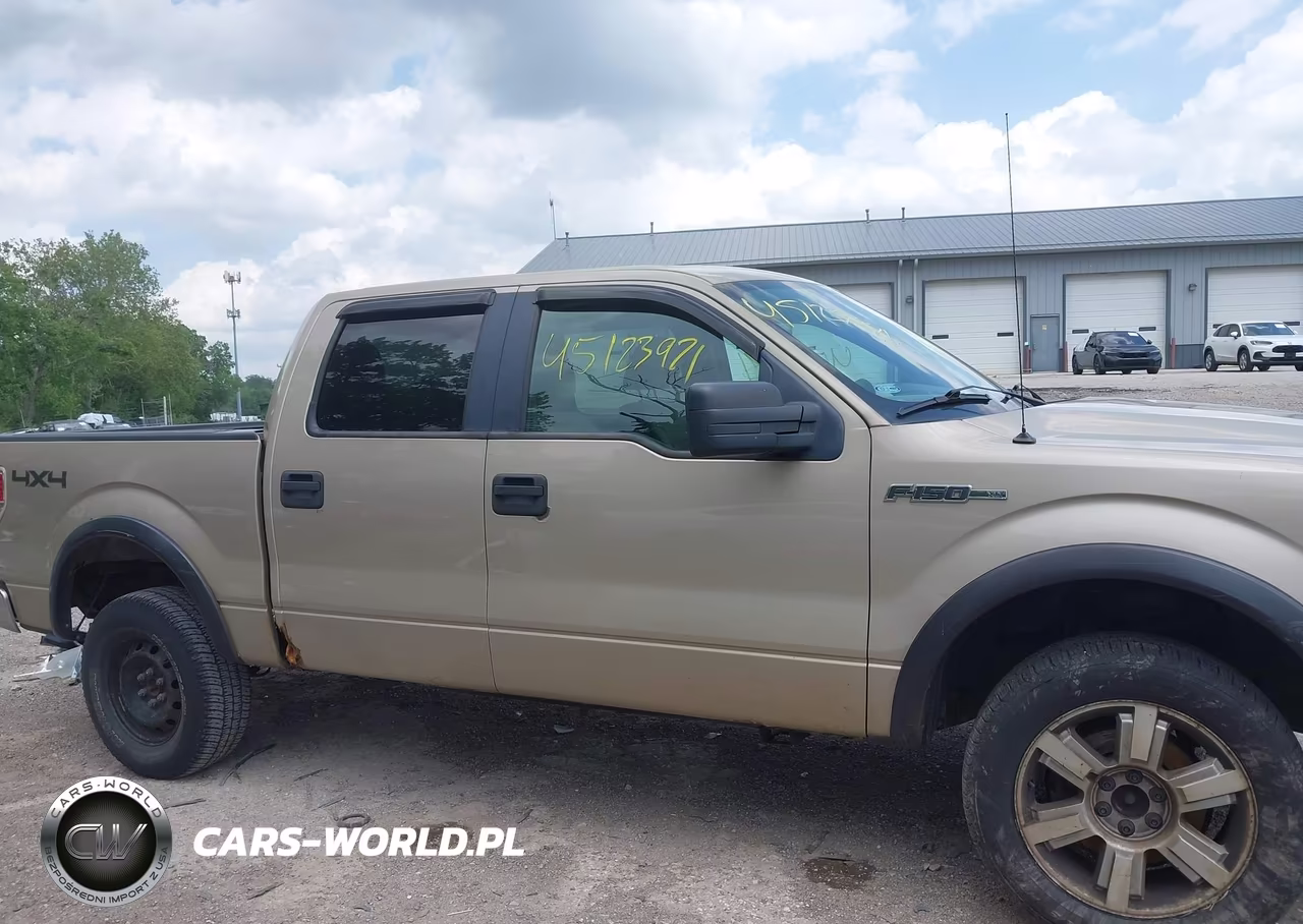 2010 Ford F-150 Xlt VIN:1FTEW1E81AKB59981 - 13