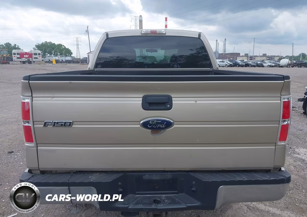 2010 Ford F-150 Xlt VIN:1FTEW1E81AKB59981 - 16