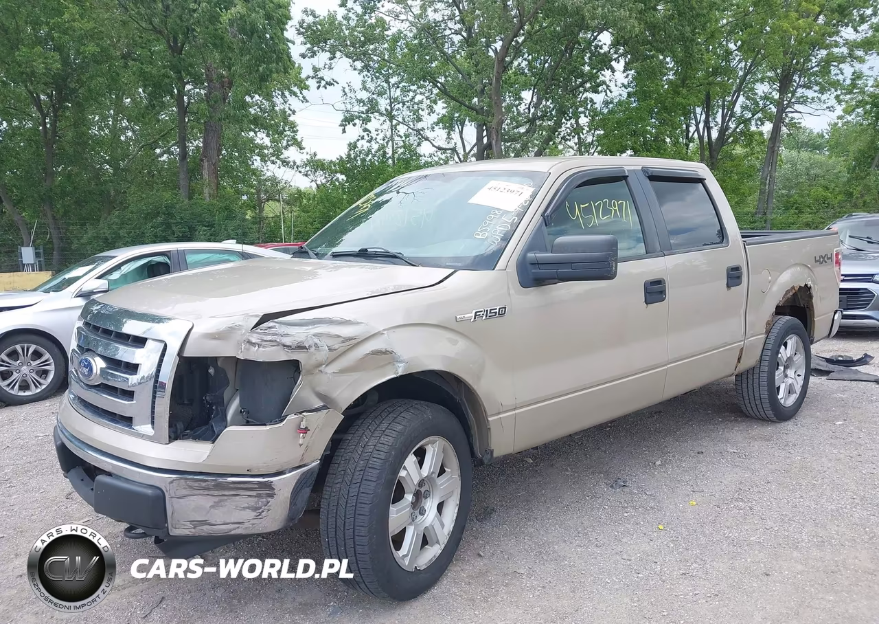 2010 Ford F-150 Xlt VIN:1FTEW1E81AKB59981 - 2