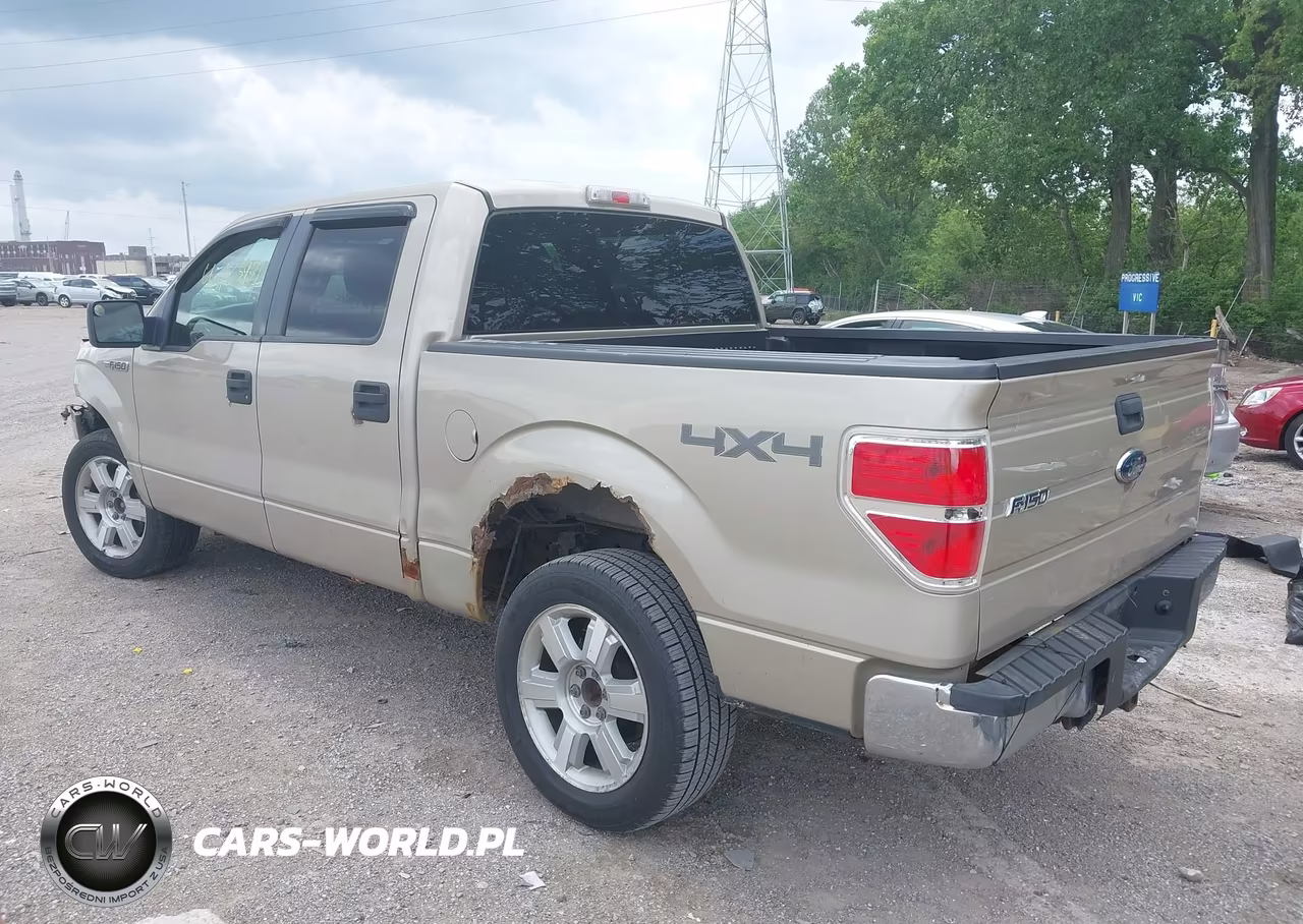 2010 Ford F-150 Xlt VIN:1FTEW1E81AKB59981 - 3