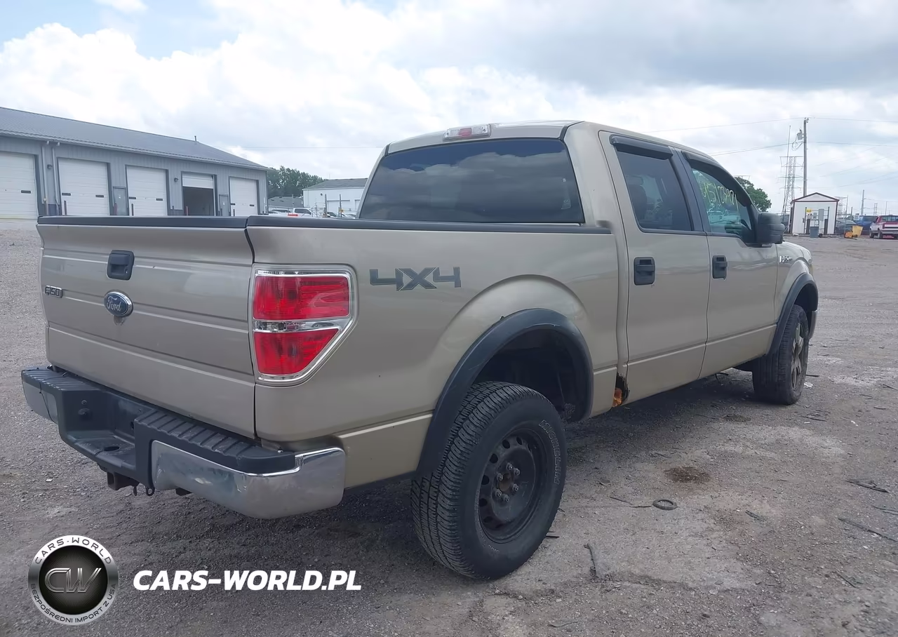 2010 Ford F-150 Xlt VIN:1FTEW1E81AKB59981 - 4