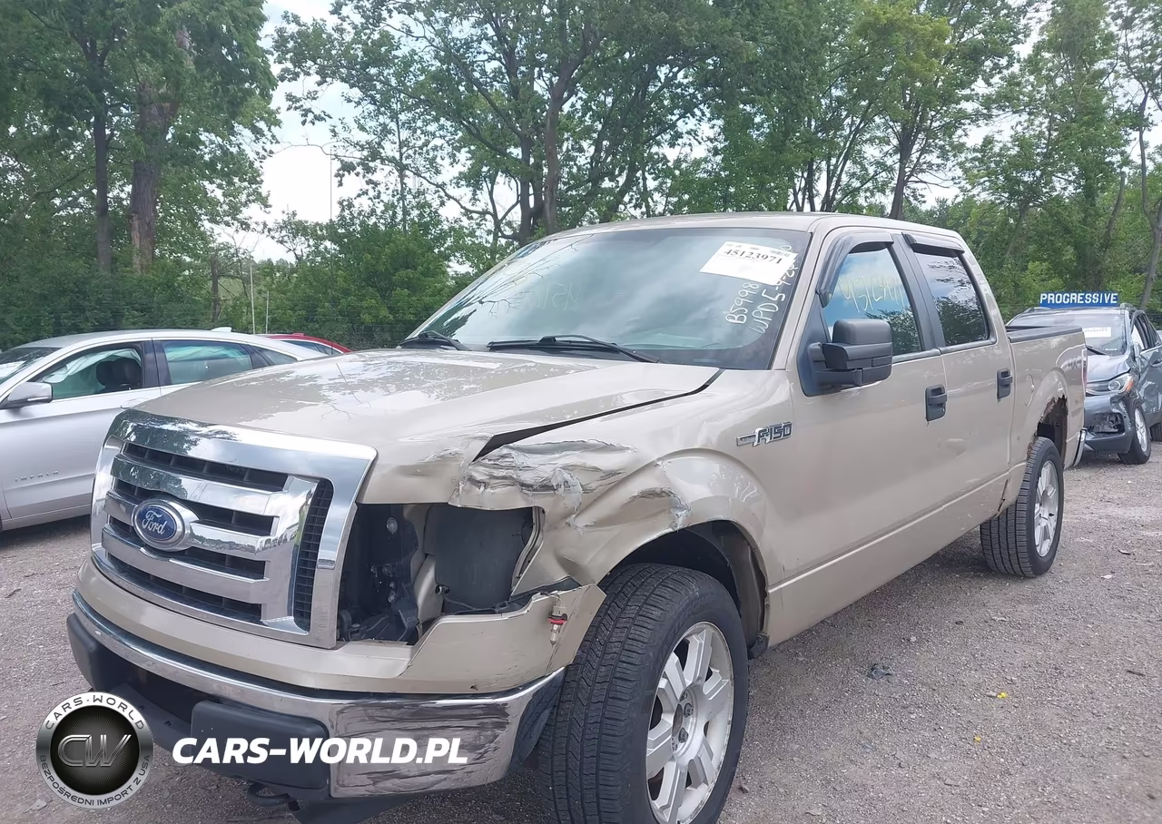 2010 Ford F-150 Xlt VIN:1FTEW1E81AKB59981 - 6