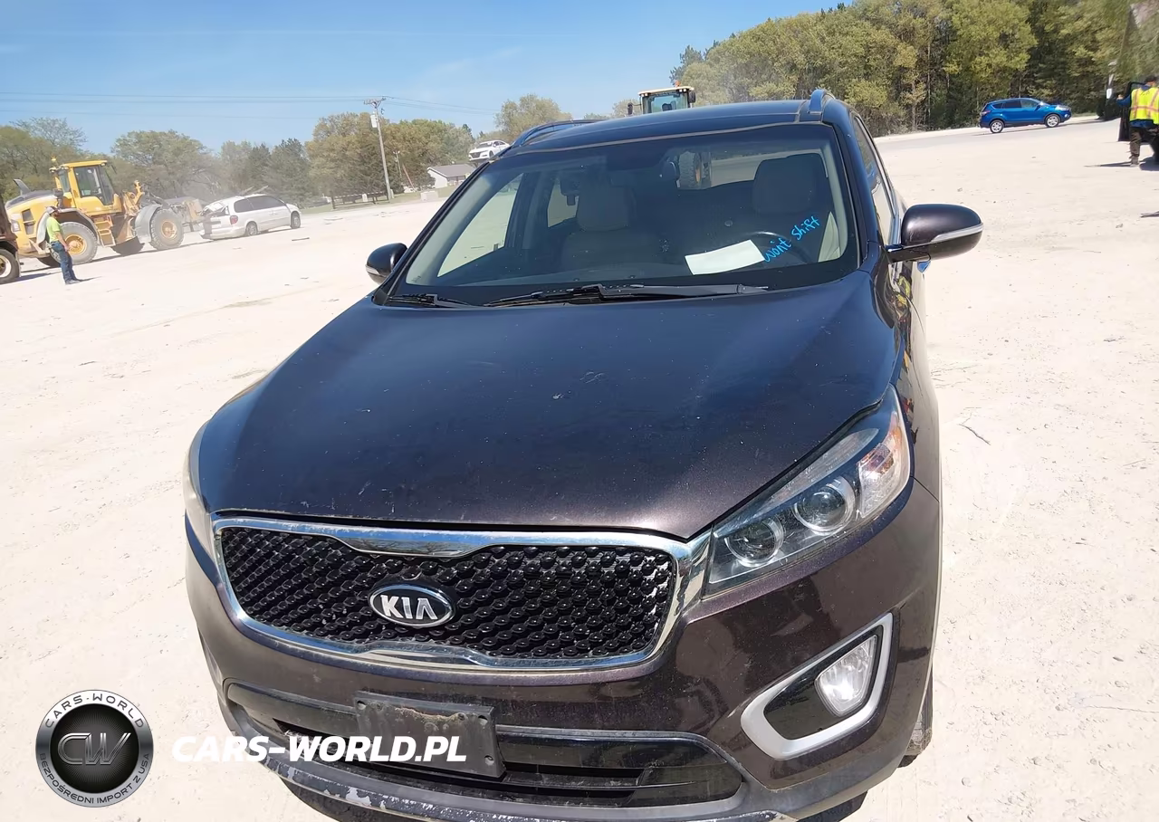2016 Kia Sorento 3.3L Ex VIN:5XYPHDA55GG159786 - 12