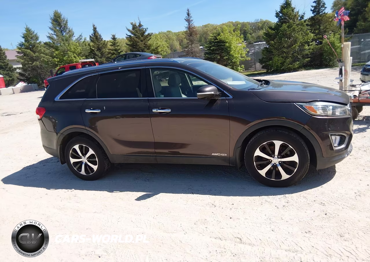 2016 Kia Sorento 3.3L Ex VIN:5XYPHDA55GG159786 - 13