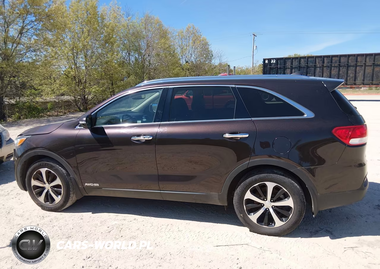 2016 Kia Sorento 3.3L Ex VIN:5XYPHDA55GG159786 - 14