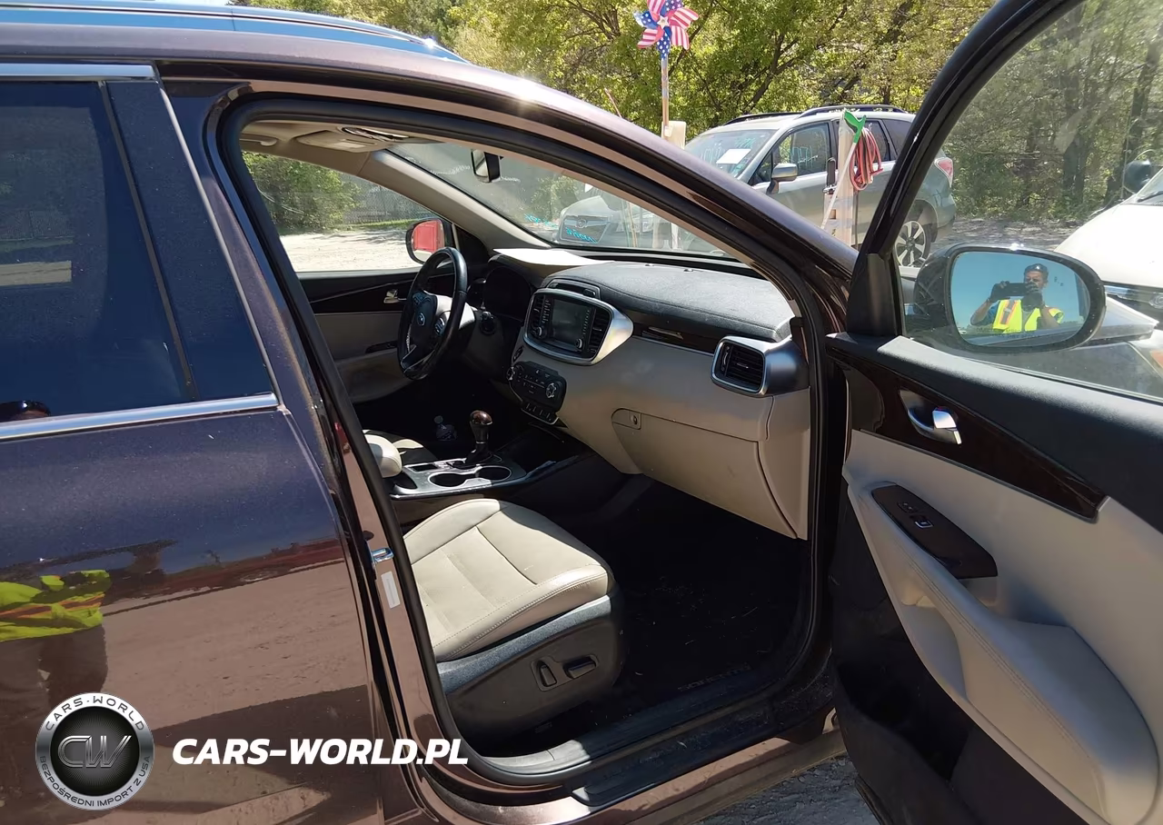 2016 Kia Sorento 3.3L Ex VIN:5XYPHDA55GG159786 - 5