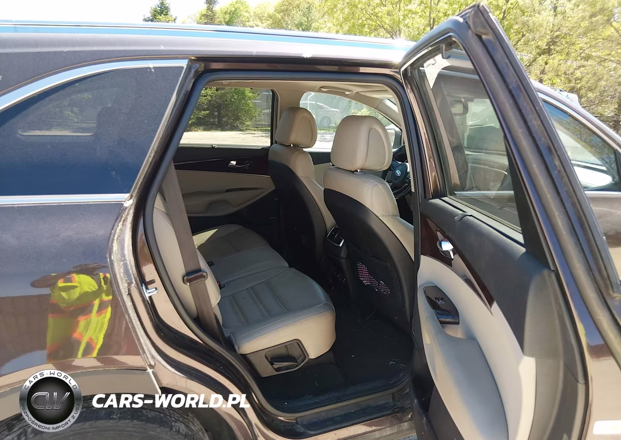 2016 Kia Sorento 3.3L Ex VIN:5XYPHDA55GG159786 - 8