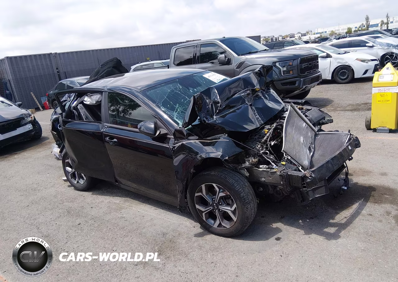 2019 Kia Forte Lxs