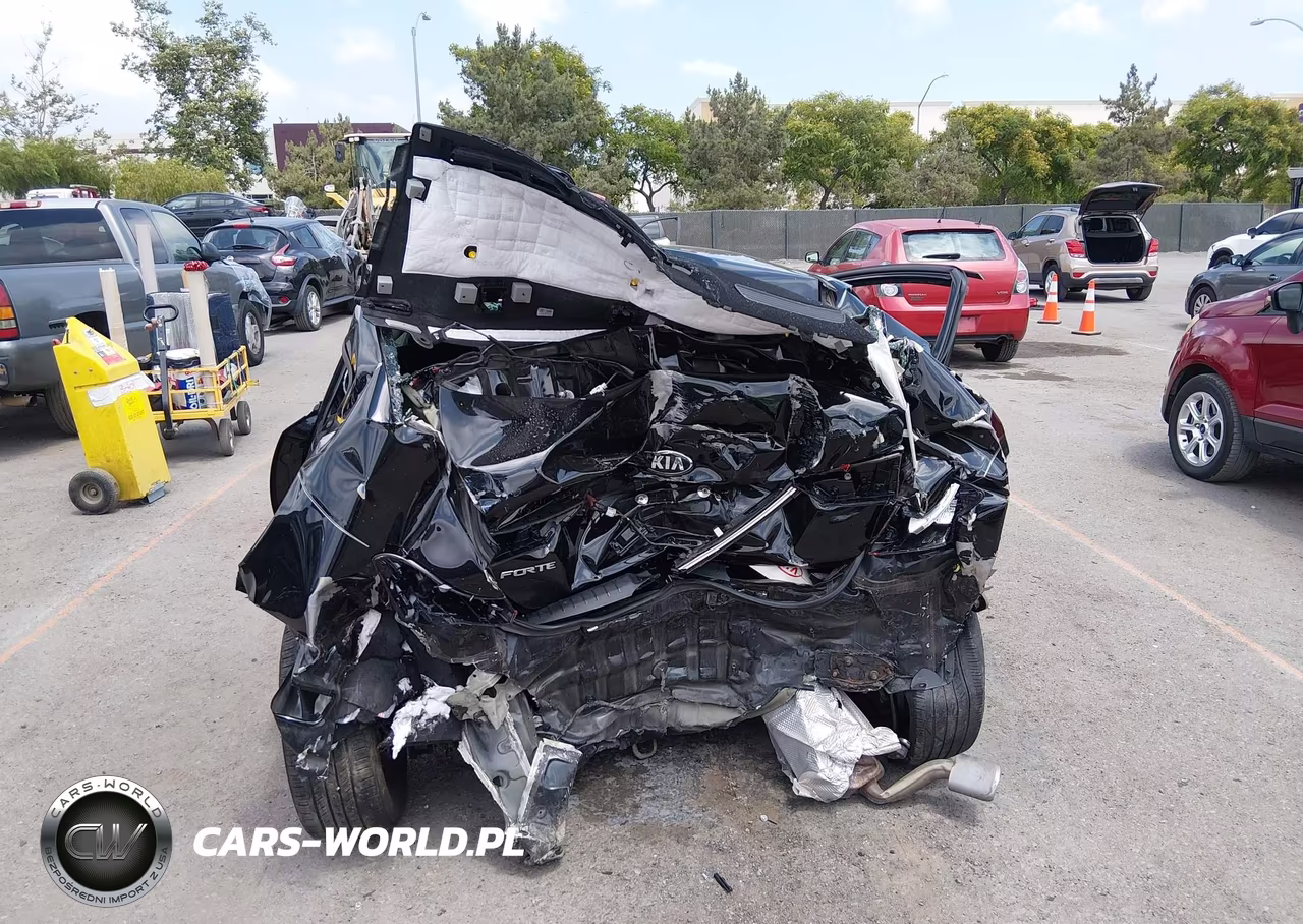 2019 Kia Forte Lxs VIN:3KPF24AD1KE136791 - 17