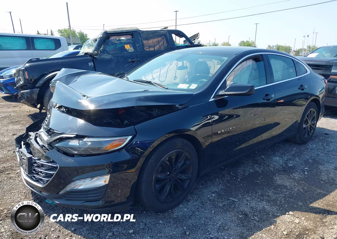 2019 Chevrolet Malibu Lt VIN:1G1ZD5ST8KF206708 - 2